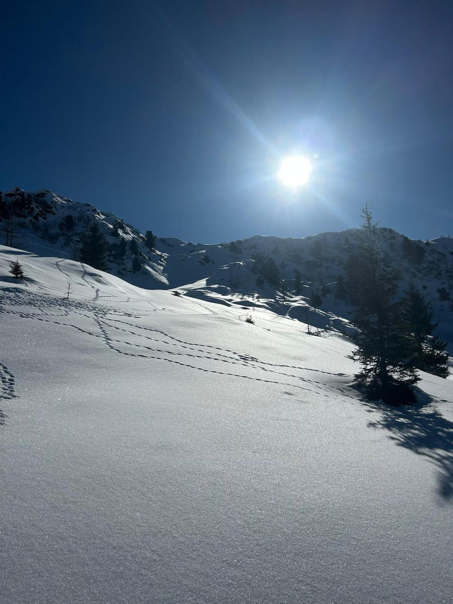 Der Paternwirt Hotel Maria Luggau Kültér fotó
